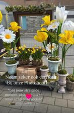 XL kunststof bloemen - etalage, Zakelijke goederen, Ophalen, Nieuw in verpakking