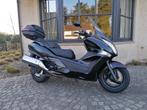 Honda Silverwing 400 met ABS, 400 cc, Scooter, Particulier, Minimaal motorrijbewijs A2