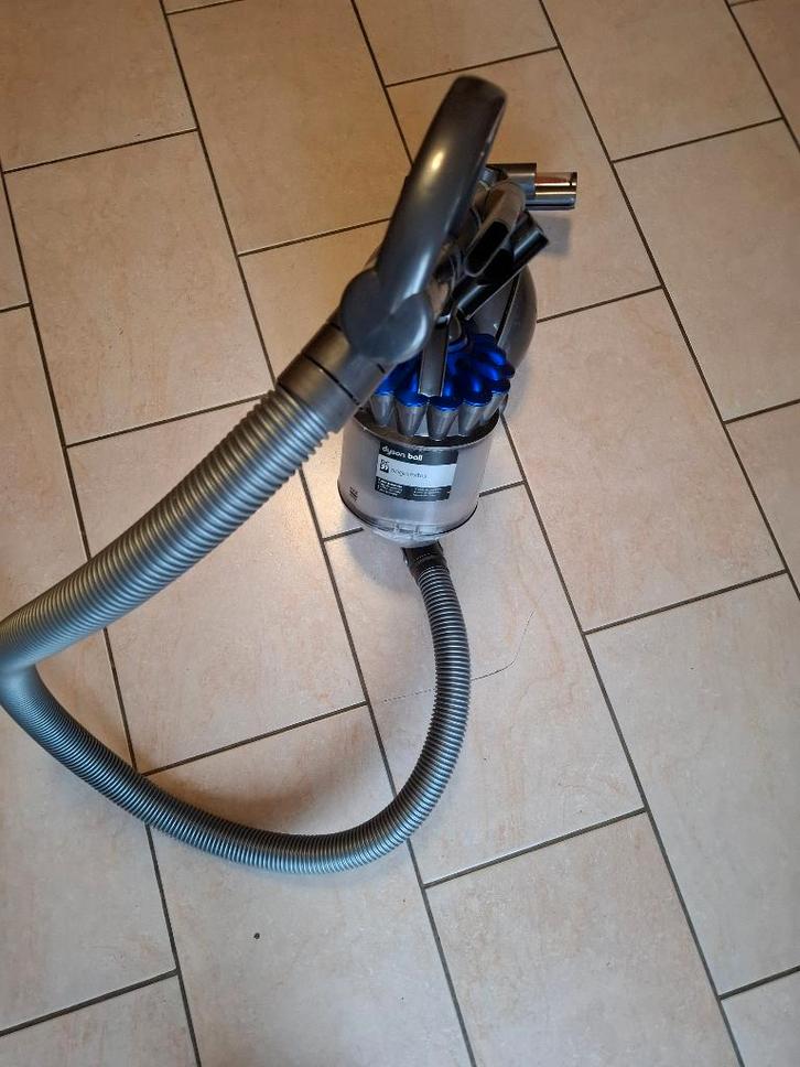 Aspirateur Dyson DC37 (nettoyé et désinfecté), Electroménager, Aspirateurs, Reconditionné, Aspirateur, 1200 à 1600 watts, Réservoir