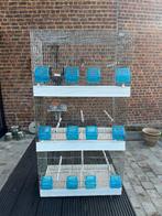 Vogelkooien, Ophalen of Verzenden, Gebruikt