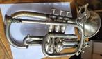 Ancien instrument de musique, Ophalen of Verzenden, Instrument