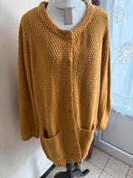 Vest in gebreide — Blancheporte, Frankrijk 54/Duitsland 52, Kleding | Dames, Grote Maten, Ophalen of Verzenden, Zo goed als nieuw
