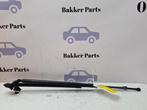 Set Gasdempers Achterklep van een Renault Grand Scenic, Auto-onderdelen, 3 maanden garantie, Gebruikt, Renault