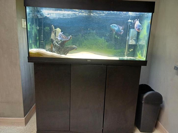 Rio 180 met buitenfilter en kast, Dieren en Toebehoren, Vissen | Aquaria en Toebehoren, Zo goed als nieuw, Ophalen of Verzenden