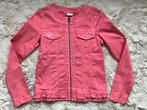 Roze jeansjasje StaXO maat 158 Nieuw, Kinderen en Baby's, Kinderkleding | Maat 158, Meisje, Staxo, Nieuw, Ophalen of Verzenden