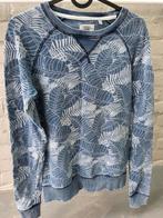 Katoenen trui America Today XS, Blauw, America today, Ophalen of Verzenden, Gedragen