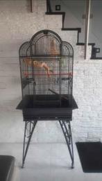 Montana kooi voor kleine papegaaien 58 x 43 x 159 cm, Ophalen, Zo goed als nieuw