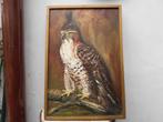 schildery  VOGEL -- WILLY VAN MEIRVENNE, Ophalen