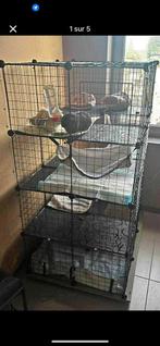 Modulaire kooi met rolbasis + accessoires, Dieren en Toebehoren, Ophalen, Kooi, Hamster, Zo goed als nieuw