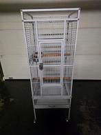 CAGE A PERRUCHE OU PETIT PERROQUET, Animaux & Accessoires, Oiseaux | Cages & Volières, Enlèvement