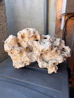 Decoratie / Steen / Aquarium, Enlèvement