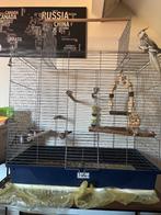 Ik verkoop een vogels kooi, Ophalen, Nieuw, Vogelkooi