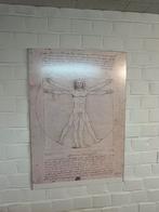 Leonardo da Vinci Vitruviaanse Mens, Ophalen