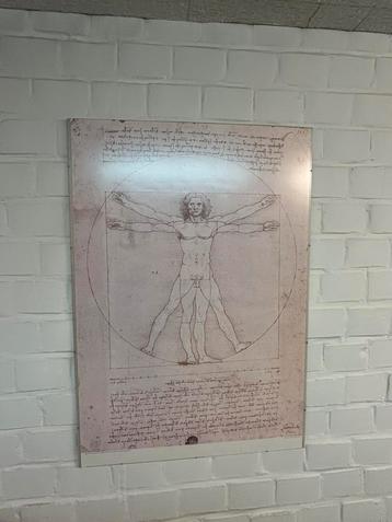Leonardo da Vinci Vitruviaanse Mens beschikbaar voor biedingen