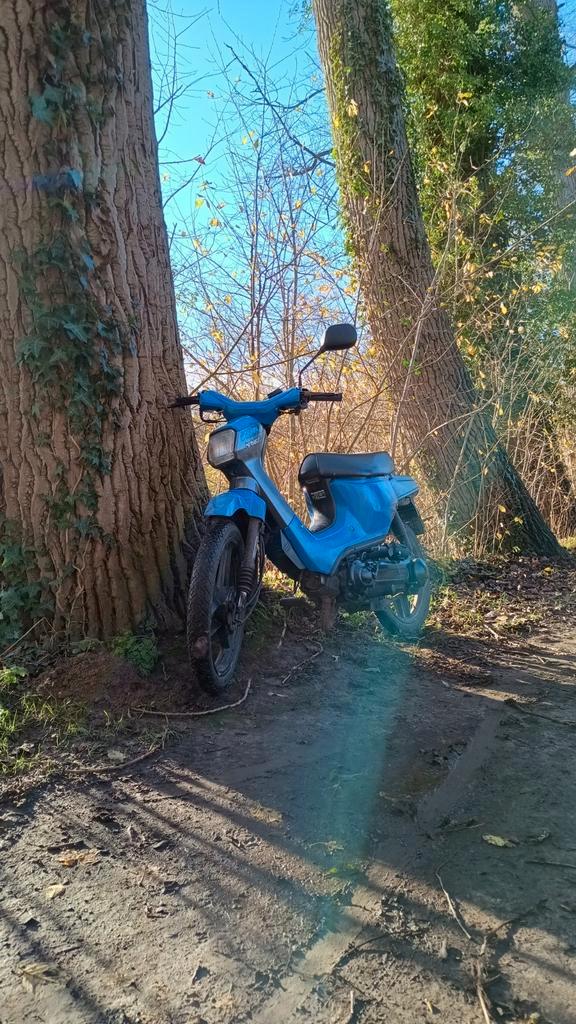 Honda Wallaroo A klasse, Fietsen en Brommers, Brommers | Honda, Gebruikt, Klasse A (25 km/u), Ophalen