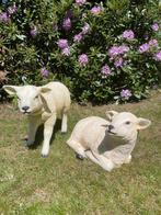 Beeld set Texel schaap lammetje, tuin, boerderij, Tuin en Terras, Tuinbeelden, Ophalen, Nieuw, Kunststof, Dierenbeeld