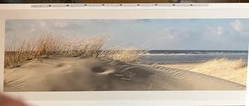 foto/poster Christophe Schambert (ingekaderd) (5) beschikbaar voor biedingen