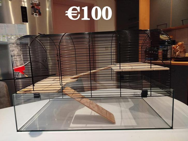 Hamsterkooi met verschillende toebehoren te koop, Dieren en Toebehoren, Knaagdieren en Konijnen | Hokken en Kooien, Zo goed als nieuw