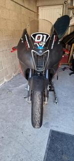 Aprilia RSV1000 R modèle 2005, Motoren, 2 cilinders, Sportuitlaat, Super Sport, Particulier