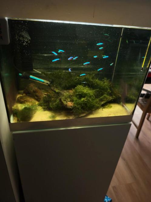 OASE STYLE LINE 85 SET, Dieren en Toebehoren, Vissen | Aquaria en Toebehoren, Zo goed als nieuw, Ophalen