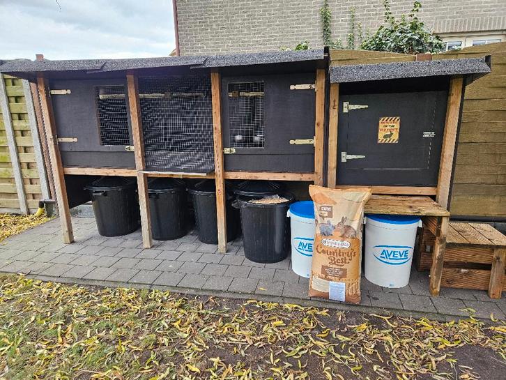 Groot konijnenhok (buiten) met alle toebehoren, Dieren en Toebehoren, Knaagdieren en Konijnen | Toebehoren, Gebruikt, Overige typen