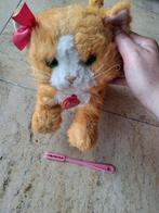 Fureal friends kat, Ophalen