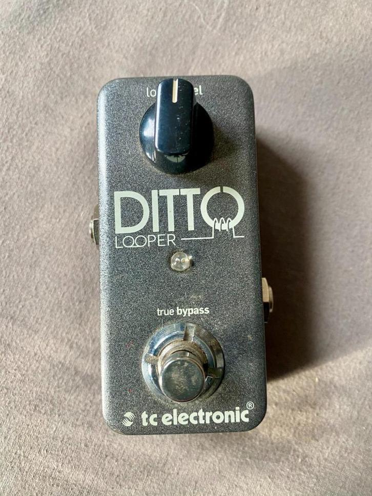 TC ELECTRONIC - DITTO LOOPER, Muziek en Instrumenten, Effecten, Gebruikt, Overige typen, Ophalen of Verzenden