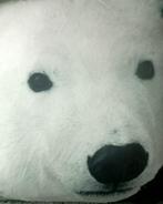 Lot de 2 coussins réversibles Ours polaires, Ophalen, Nieuw, Wit, Vierkant