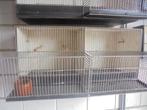 kweekkooi vogels, Comme neuf, Bois, Cage d'élevage, Enlèvement