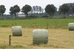 Top Hooi speciaal voor Paarden Pony's, Zakelijke goederen, Landbouw | Veevoer, Ophalen