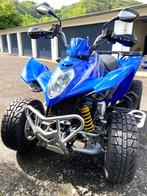 Quad, Motos, 1 cylindre, 300 cm³, 12 à 35 kW