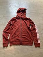 Hoodie - maat 164, Ophalen of Verzenden, Zo goed als nieuw, Jongen, Trui of Vest