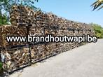 Droog Brandhout Nodig ?Bel Wapi uit Handzame, Tuin en Terras, 6 m³ of meer, Ophalen, Eikenhout, Blokken