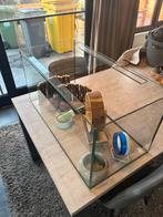 Glazen terrarium, Dieren en Toebehoren, Ophalen, Zo goed als nieuw