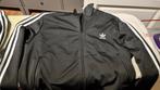 Vest L + broek M Adidas(dames), Ophalen of Verzenden, Zo goed als nieuw