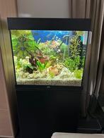 Aquarium Jewel Lido 120, Dieren en Toebehoren, Ophalen, Zo goed als nieuw, Leeg aquarium