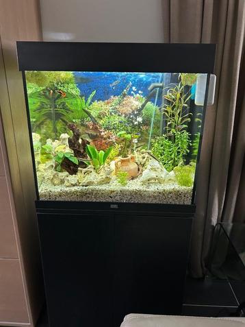 Aquarium Jewel Lido 120 beschikbaar voor biedingen