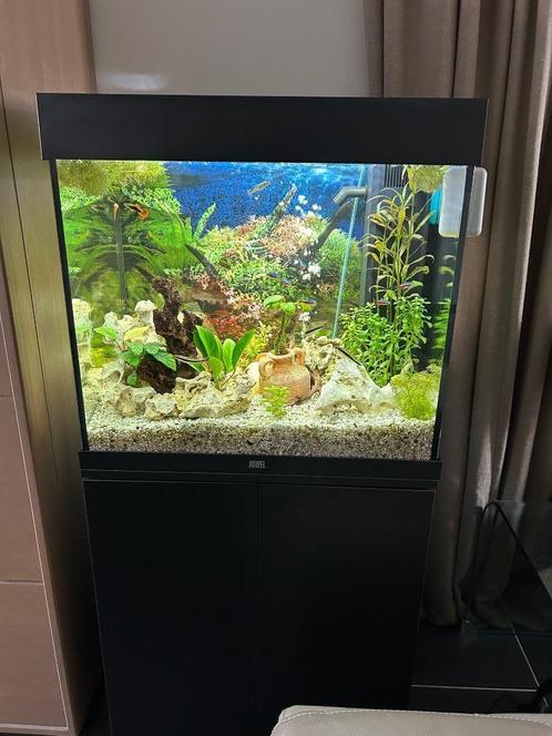 Aquarium Jewel Lido 120, Dieren en Toebehoren, Vissen | Aquaria en Toebehoren, Zo goed als nieuw, Leeg aquarium, Ophalen