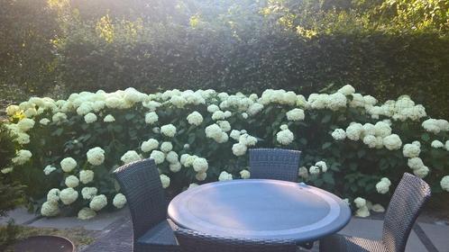 Gepolijste arduinen tafel, Tuin en Terras, Tuintafels, Zo goed als nieuw, Ophalen