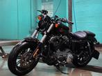 Harley-Davidson Sportster Forty-Eight 1200 (2019), Motoren, Motoren | Harley-Davidson, 2 cilinders, 1202 cc, Particulier, Meer dan 35 kW
