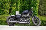 Harley-Davidson, Motos, Motos | Harley-Davidson, Particulier