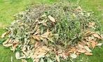 Dechets verts, Ophalen of Verzenden