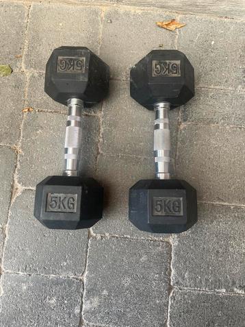 Halterste Hexavormig 2x 5Kg beschikbaar voor biedingen