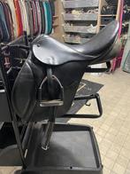 Kingley, stubben, thorogwood, Dieren en Toebehoren, Ophalen of Verzenden, Gebruikt, Dressuur