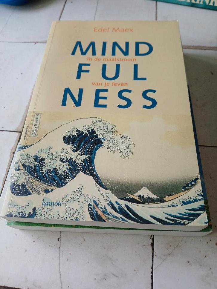 Mindfulness. In de maalstroom van je leven. Edel Maex, Boeken, Psychologie, Verzenden