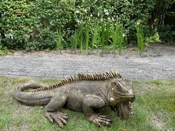 Beeld Leguaan, tuin, zwembad, vijver, salamander 100cm beschikbaar voor biedingen