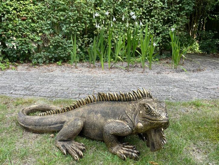Beeld Leguaan, tuin, zwembad, vijver, salamander 100cm, Tuin en Terras, Tuinbeelden, Nieuw, Dierenbeeld, Kunststof, Ophalen