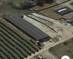 Hangar/écurie à vendre à Vliermaal, Enlèvement ou Envoi