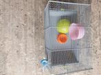 Cage hamster, Animaux & Accessoires, Rongeurs & Lapins | Cages & Clapiers, Cage, Enlèvement ou Envoi, Hamster