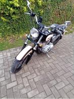 Harley davidson, Particulier